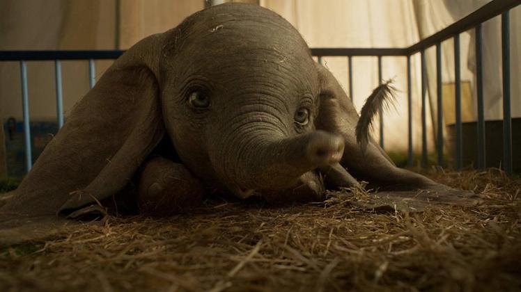 「小飛象」今年被重拍，更逼真的小象仍然相當可愛。圖／摘自imdb
