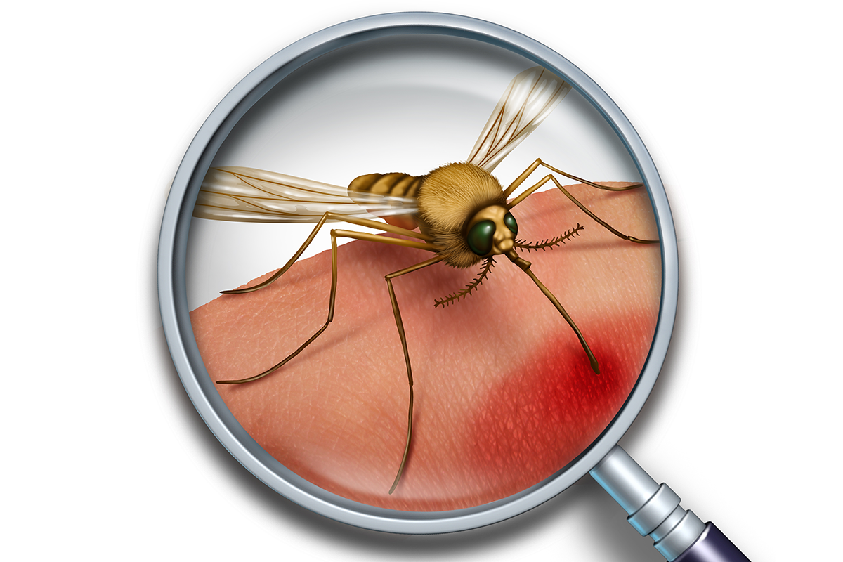 蚊子的體型很小，而且一年中的某個時候幾乎無處不在，所以真的有辦法避開蚊子嗎？