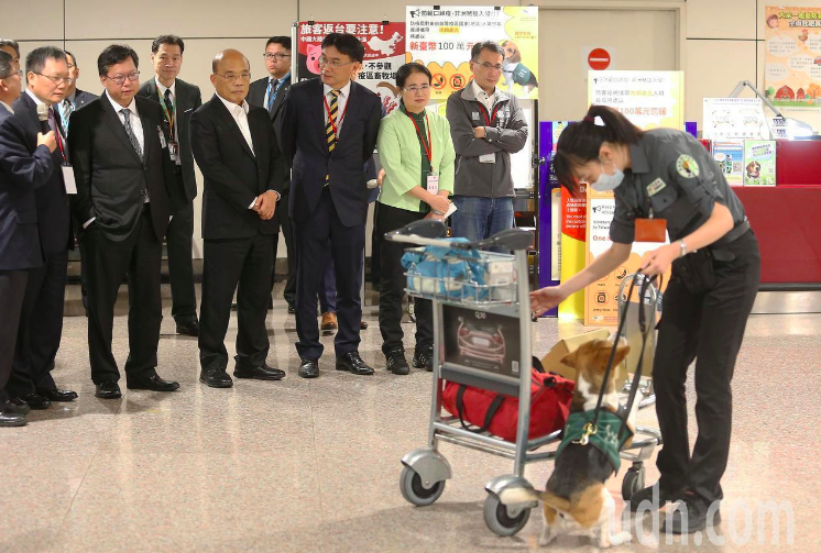 蘇貞昌剛回任行政院長就到桃園機場巡視非洲豬瘟防疫措施。
 圖／聯合報系資料照片