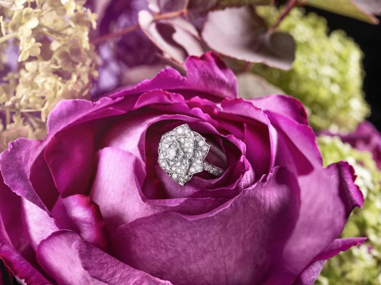 Piaget Rose系列指環，18K白金鑲嵌鑽石共約1.40克拉，35萬3,0...