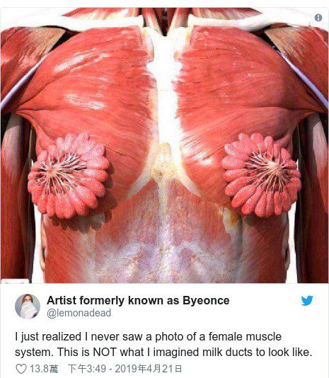 Twitter瘋傳一張女性乳腺乳管的照片 圖片截自@ lemonadead推特