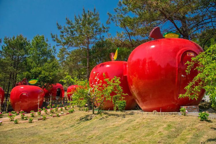 大型的蘋果屋可入住2大1小。圖／摘自福壽山農場粉絲團