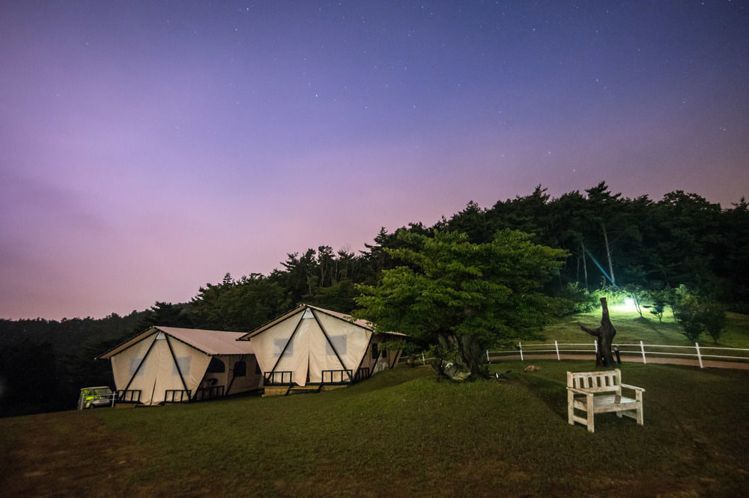 韓國光陽的努萊格戈爾酒店，可在花海中享受豪華露營。圖／Hotels.com提供