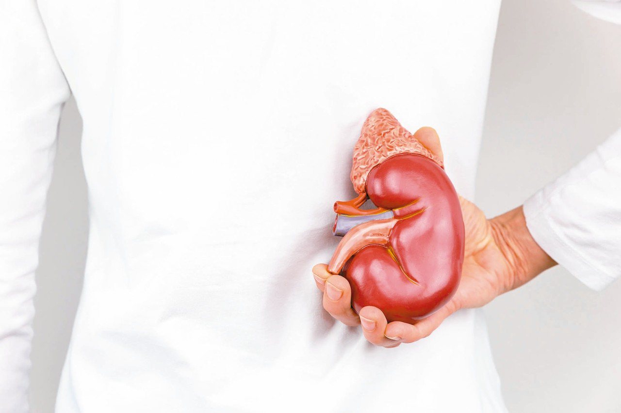健保署統計，腎臟移植存活率是所有器官移植中最高。