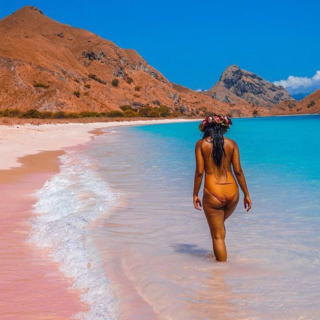 夢幻仙境真實存在！印尼「粉紅沙灘」美翻全球　碧藍海水看得到魟魚