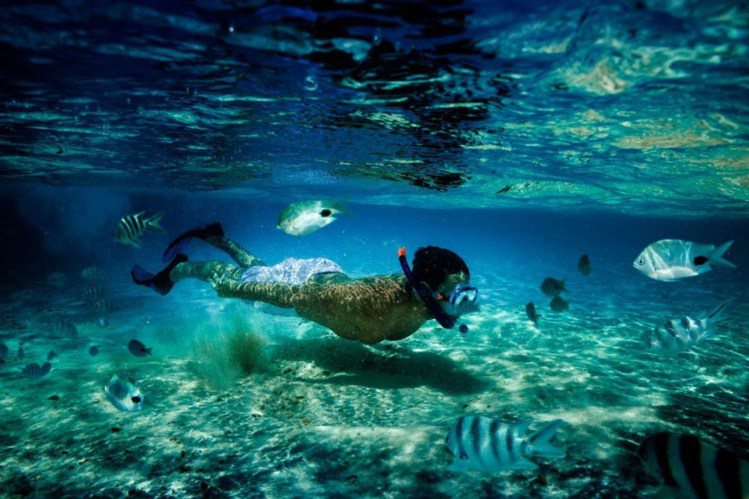 石垣島附近的海域清澈見底，是潛水愛好者的天堂。圖／ Club Med，女子學提供