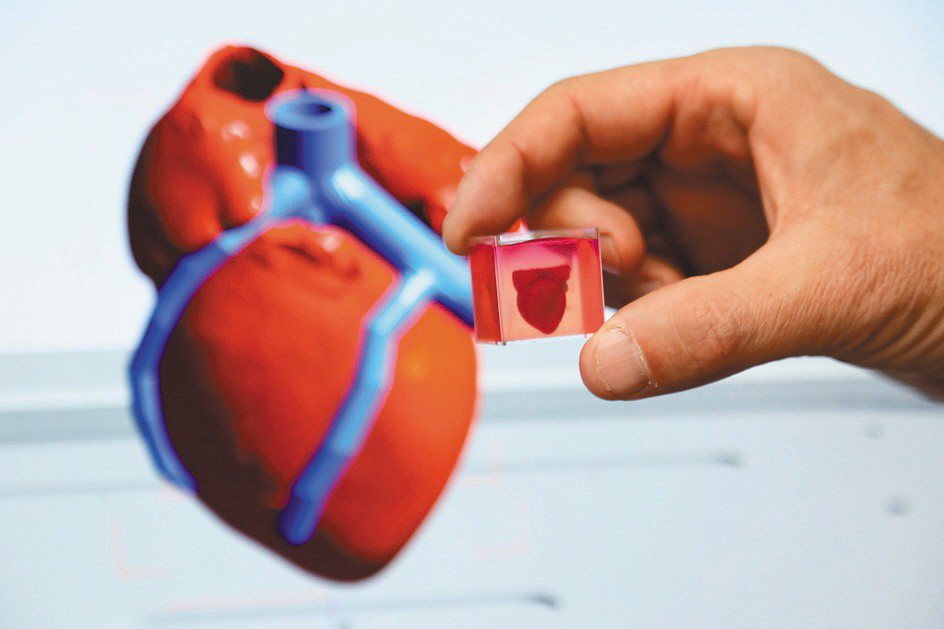 以色列特拉維夫大學研究人員宣布，他們成功以病人自身的組織為原材料，3D列印出全球首顆擁有細胞、血管、心室和心房的「完整」心臟。圖／新華社