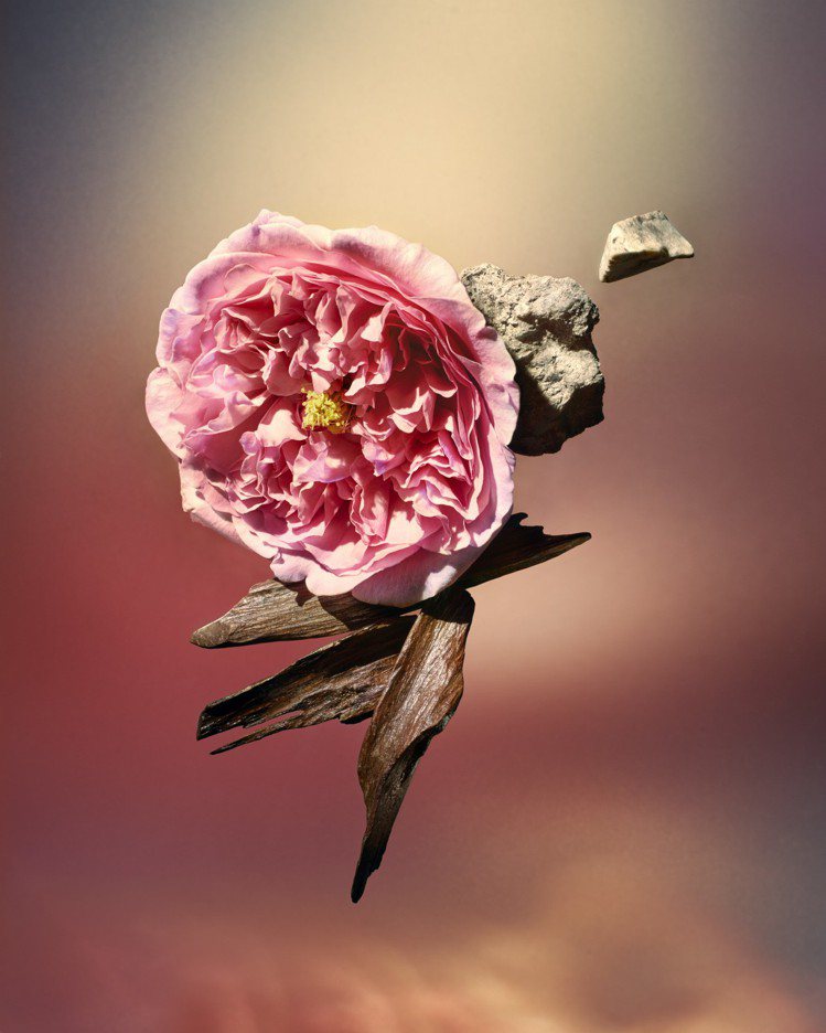 Les Sables Roses以玫瑰和沉香做為基調打造。圖／LV提供