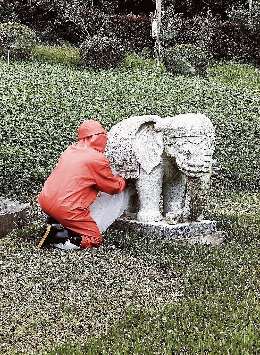 石雕大象「生了」一窩虎頭蜂 專家提醒要小心