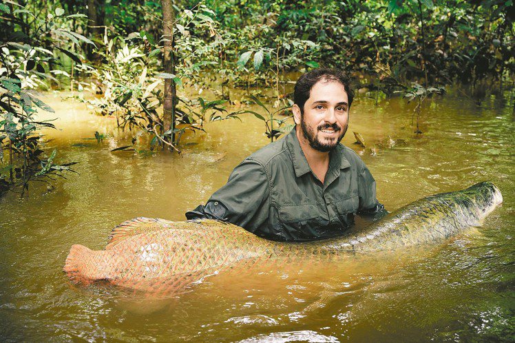 得獎者之一巴西漁業生態學家祖奧坎波斯席爾瓦，透過保護巨骨舌魚，與當地居民建立起新的淡水生態保育模式。 圖／勞力士提供