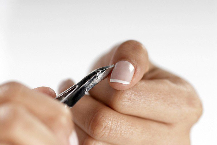 共用指甲剪，可能造成灰指甲居家傳染。 圖片／ingimage