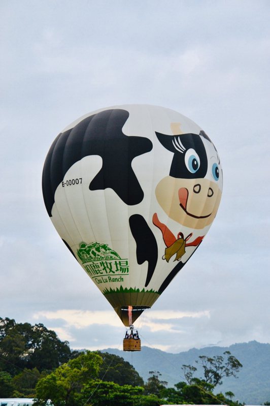 另一邊，看到大大的卡通造型「乳牛球」熱氣球，是由企業贊助的乳牛球以黑白相間的斑點，所到之處，總吸引大小朋友的目光