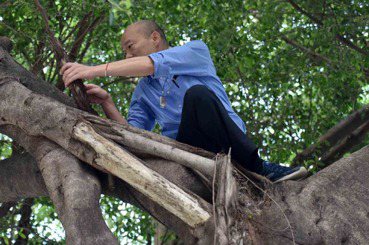 吳加雄／韓國瑜爬樹看到樹洞後，更應該做什麼？