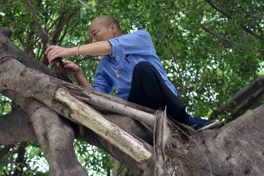 高雄市長韓國瑜今日（24日）因爬上樹觀察樹洞，引發熱議。 圖／高雄市新聞局提供