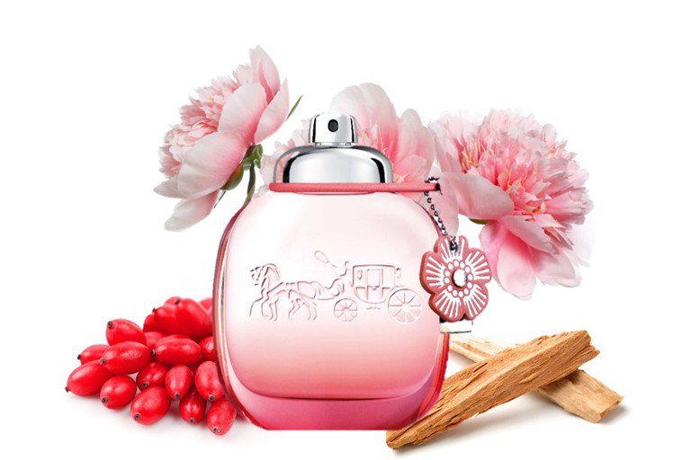 COACH floral blush嫣紅芙洛麗淡香精，30ml售價1,650元、50ml售價2,650元、90ml售價3,500元。圖／鋒恩提供