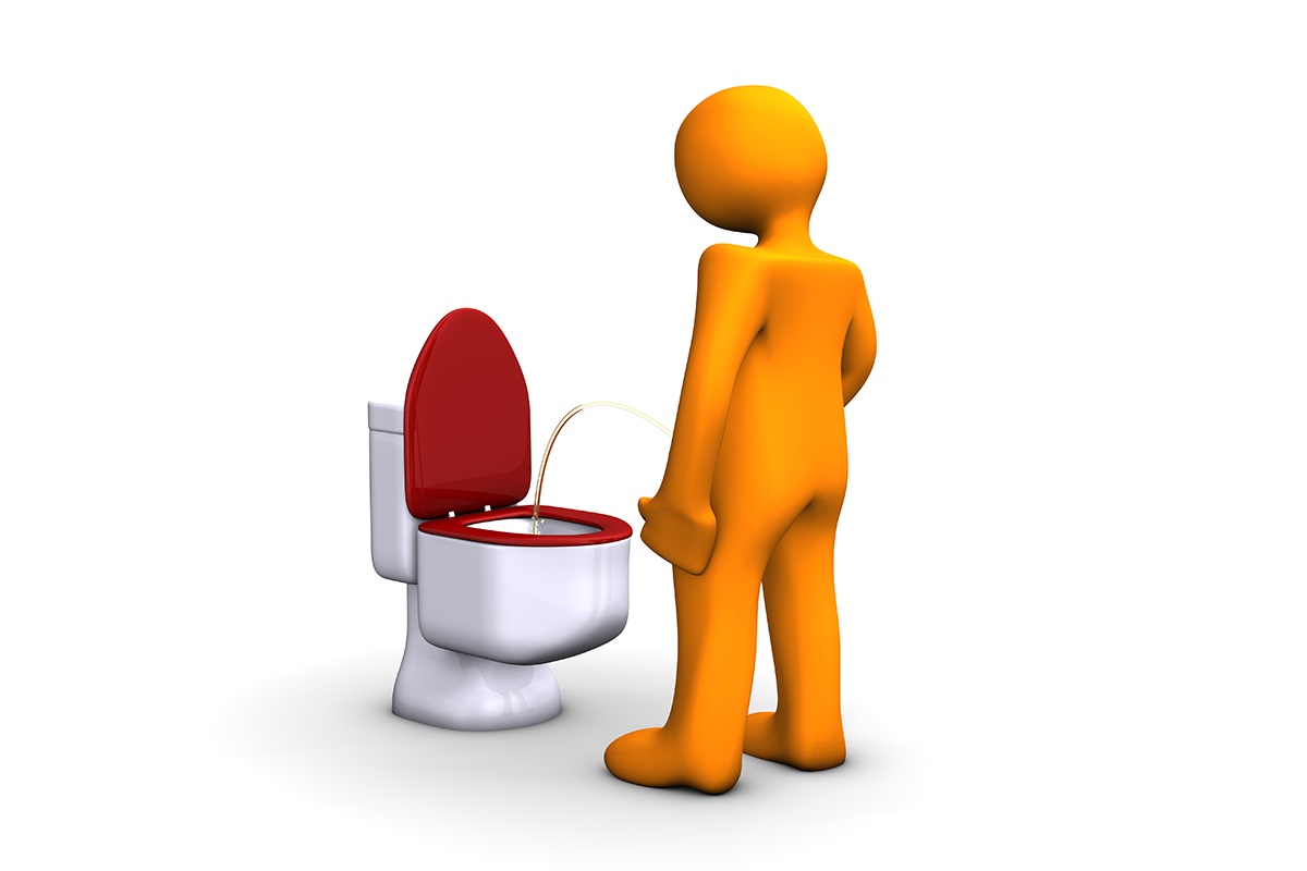 泌尿道問題是上了年紀男性最常面對的困擾，從攝護腺到膀胱，總有些說不出口的「泌密」。