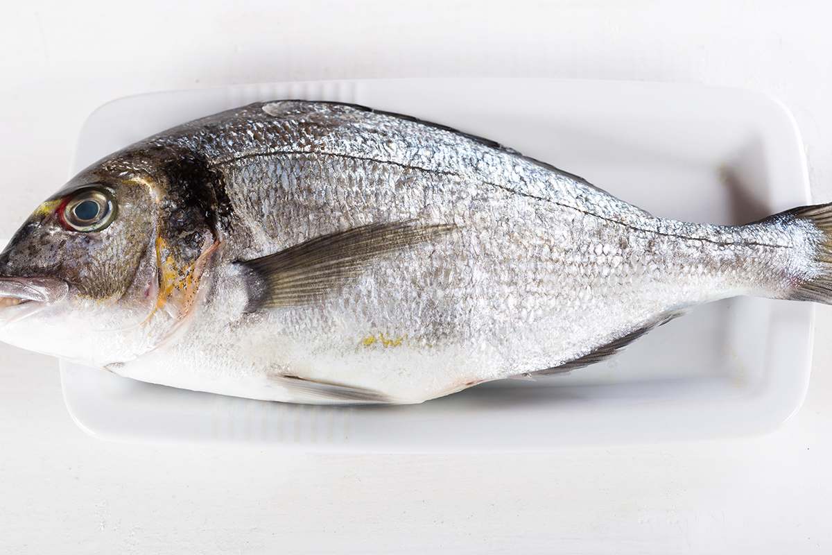 魚類含有豐富的營養成分，包括蛋白質、Omega-3不飽和脂肪酸、鈣等。