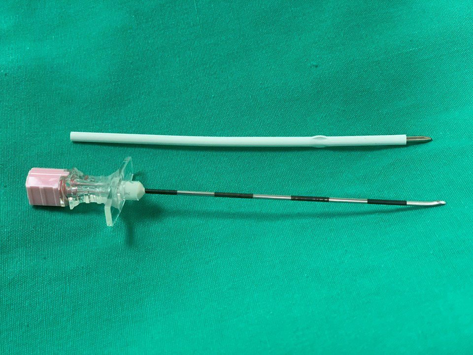 減痛分娩的硬脊膜針和原子筆芯的粗細長短對照圖。圖截自「麻的法課-邱豑慶醫師」臉書
