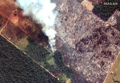 亞馬遜森林燒不停：國際施壓救火，巴西總統的「擺爛反擊」