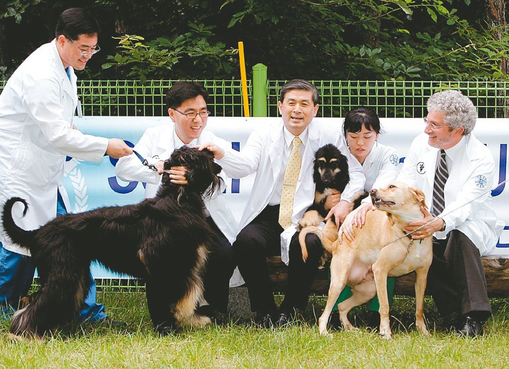 2005年世界第一隻複製狗「史諾比」在南韓誕生。圖為南韓首爾大學投入基因複製研究...