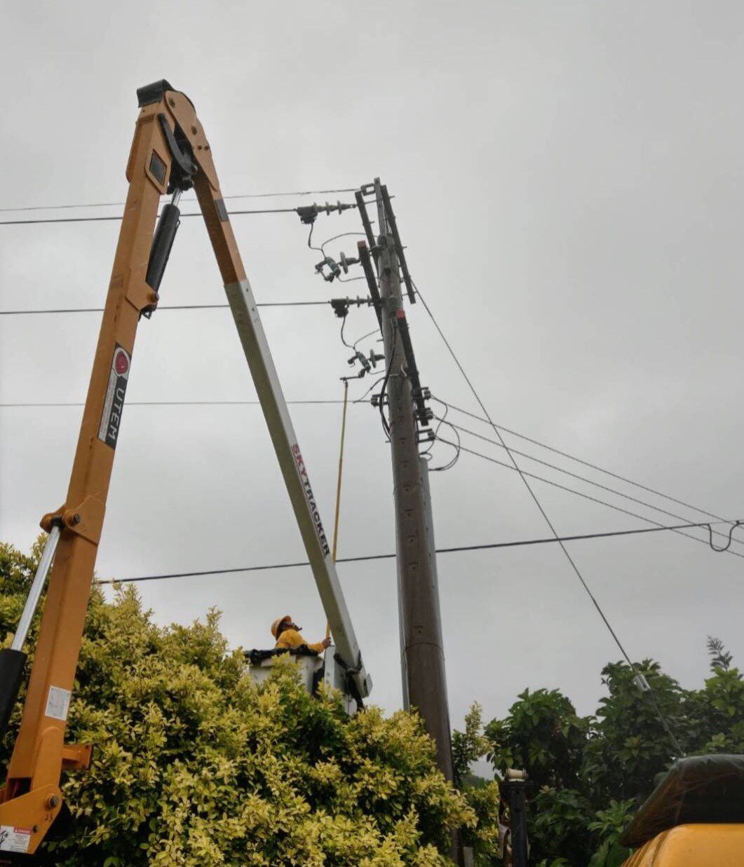 台東地區受颱風侵襲影響，樹木倒塌碰觸電線，台電人員搶修復電。 圖／台電提供