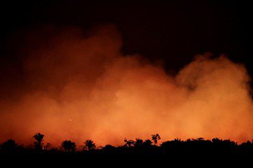亞馬遜雨林大火懷疑論，有什麼問題？