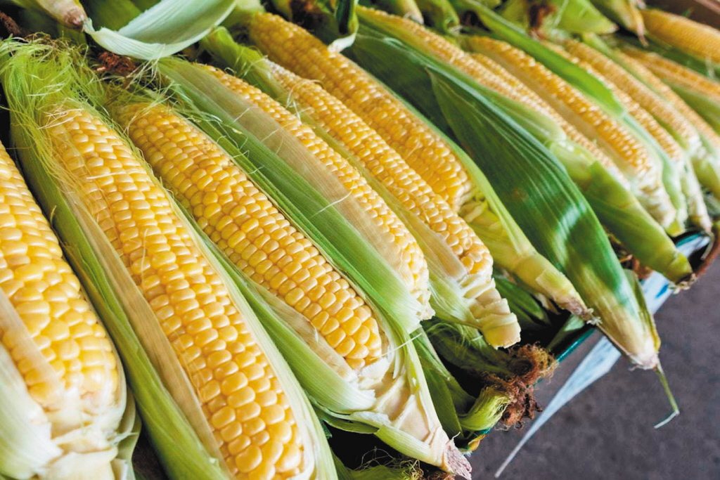 現代營養學證實，玉米、小米、紅薯、南瓜之類入脾經的黃色食物，具有益氣健脾作用。