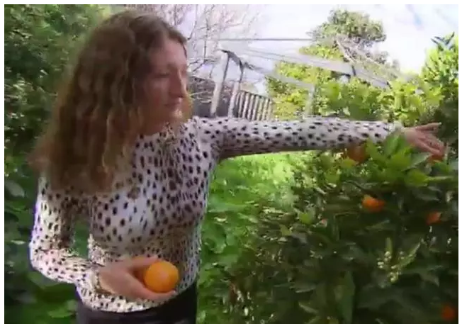 澳洲女子卡登（Cilia Carden）是素食主義者，控訴鄰居在院子烤肉。