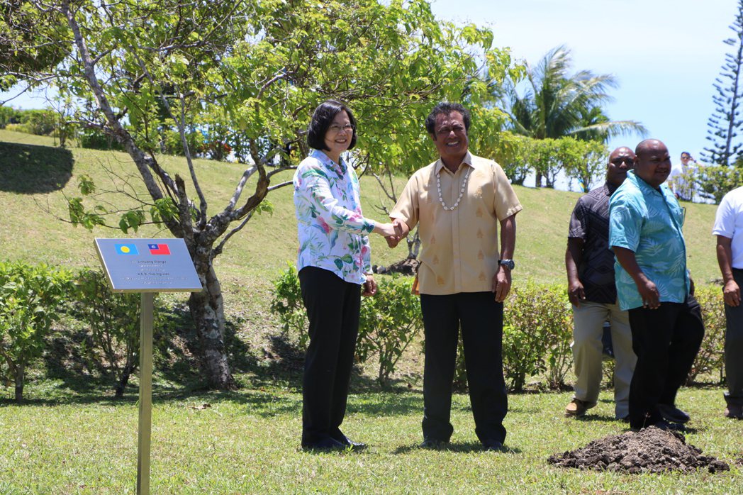 2019年3月22日，總統蔡英文與帛琉總統雷蒙傑索進行植樹儀式。 圖／聯合報系資料照