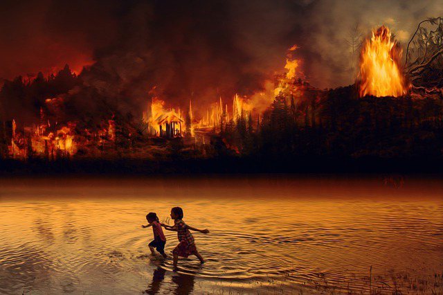 2019年8個月的時間，巴西就發生了超過 75,000 次火災，雨林生態遭到嚴重...