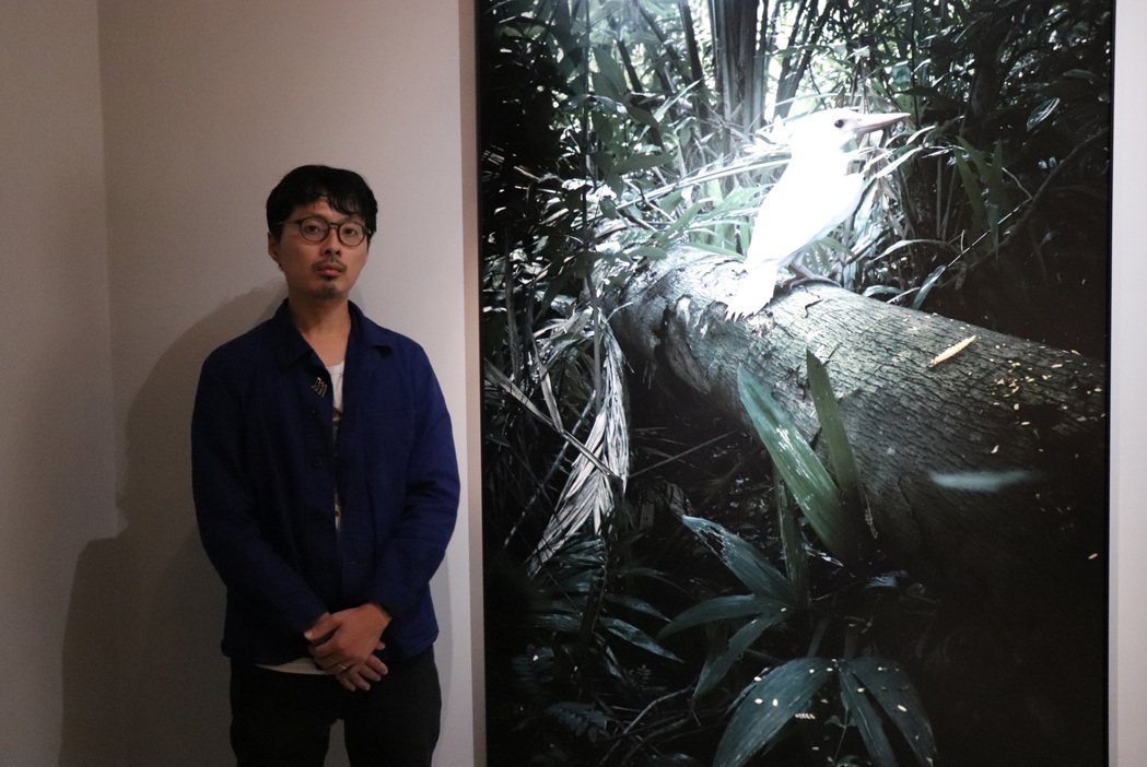 新加坡藝術家趙仁輝在台舉辦個展《新森林》，探索全新的生態現實。 圖／作者提供