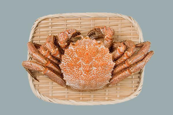 北海道毛蟹是著名的日本名貴食材。 圖片提供／Fooding台灣好食材