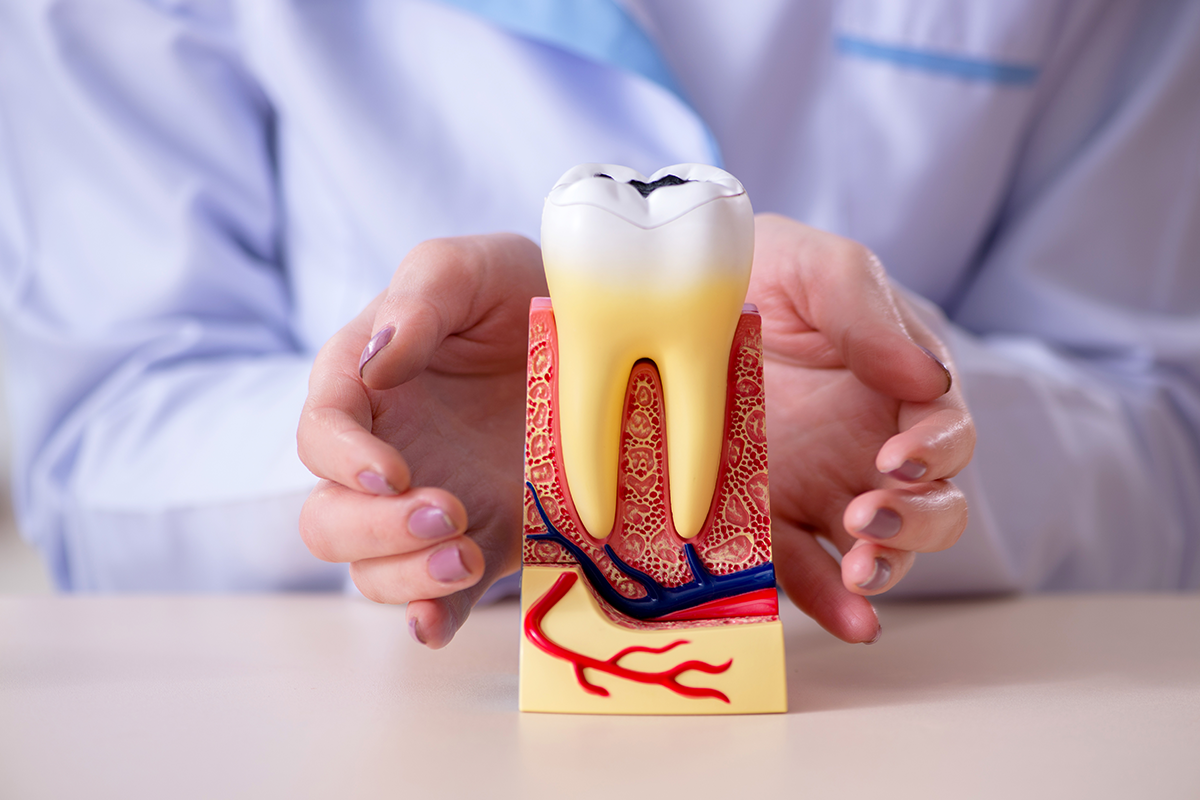 新研究發現，牙齦出血或是牙齦相關疾病可能會引發高血壓，研究刊登在《心血管研究雜誌》（Cardiovascular Research）。