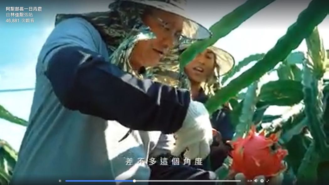 交通部長林佳龍挑戰「一日青農」，到彰化二林跟返鄉果農學習採收紅龍果，幫忙小農行銷...