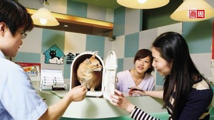 台灣平均每3.4人就有1人養貓或狗，一旦生病開刀，費用動輒上看數萬元，加上美容、寄宿等，形成龐大產業鏈。
 圖／商業周刊提供