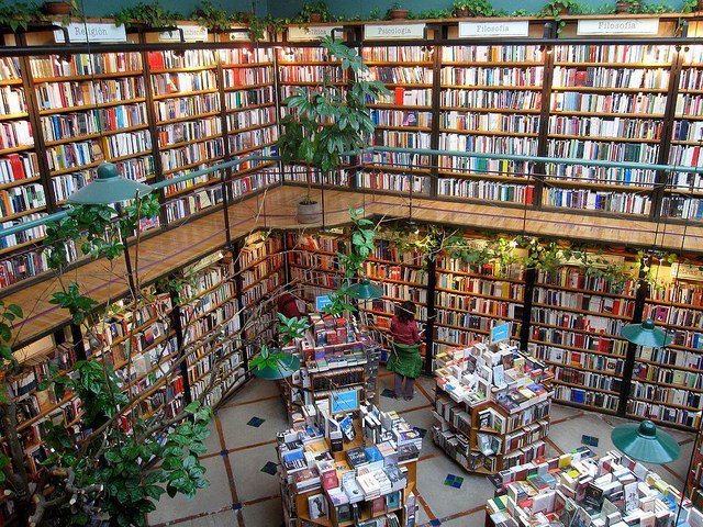 書店內綠意盎然，能感受到墨西哥城熱情的氛圍。圖／擷自flickr(女子學提供)