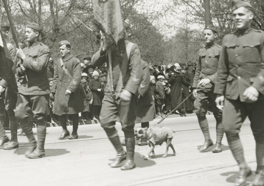 軍犬Stubby參加1919年的一戰勝利大遊行。
 （美聯社資料照片）