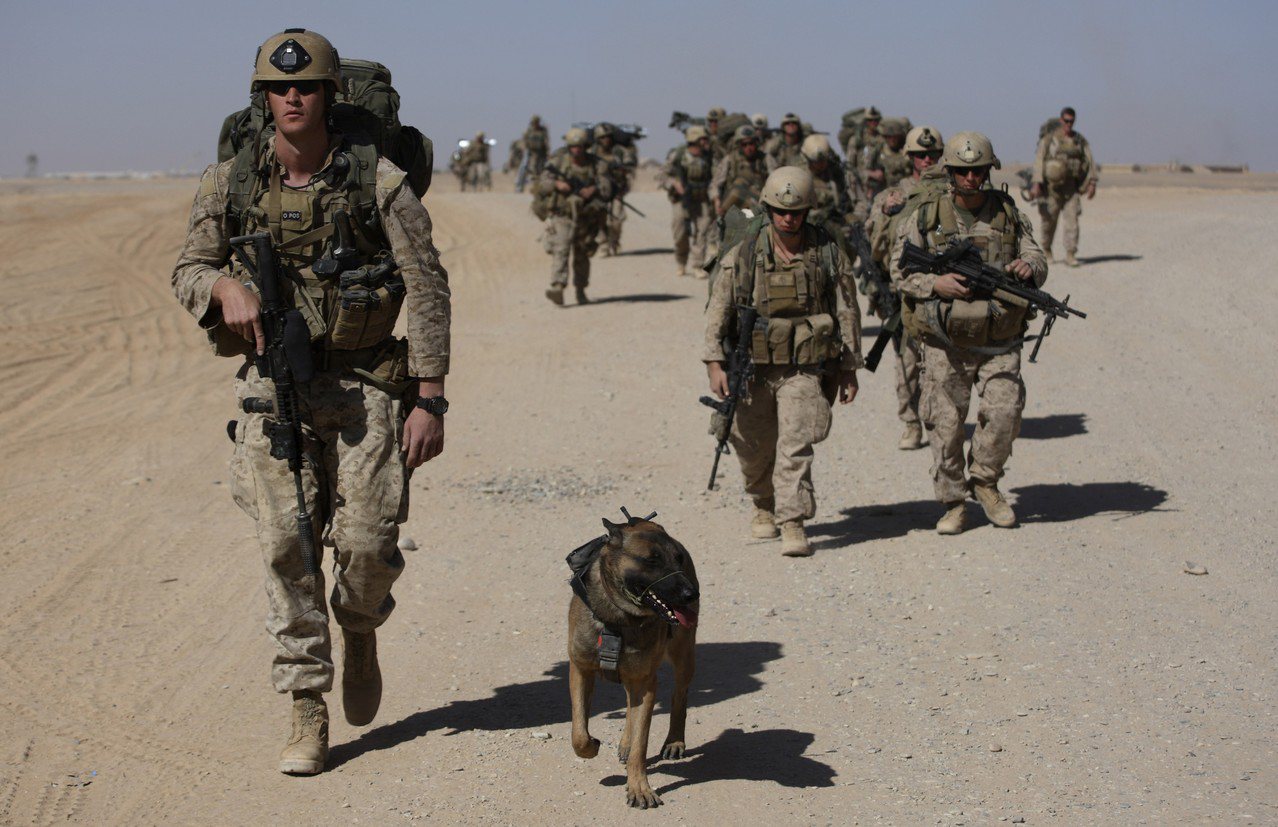 美軍陸戰隊在阿富汗出任務，很仰賴嗅彈犬。 （美聯社資料照片）