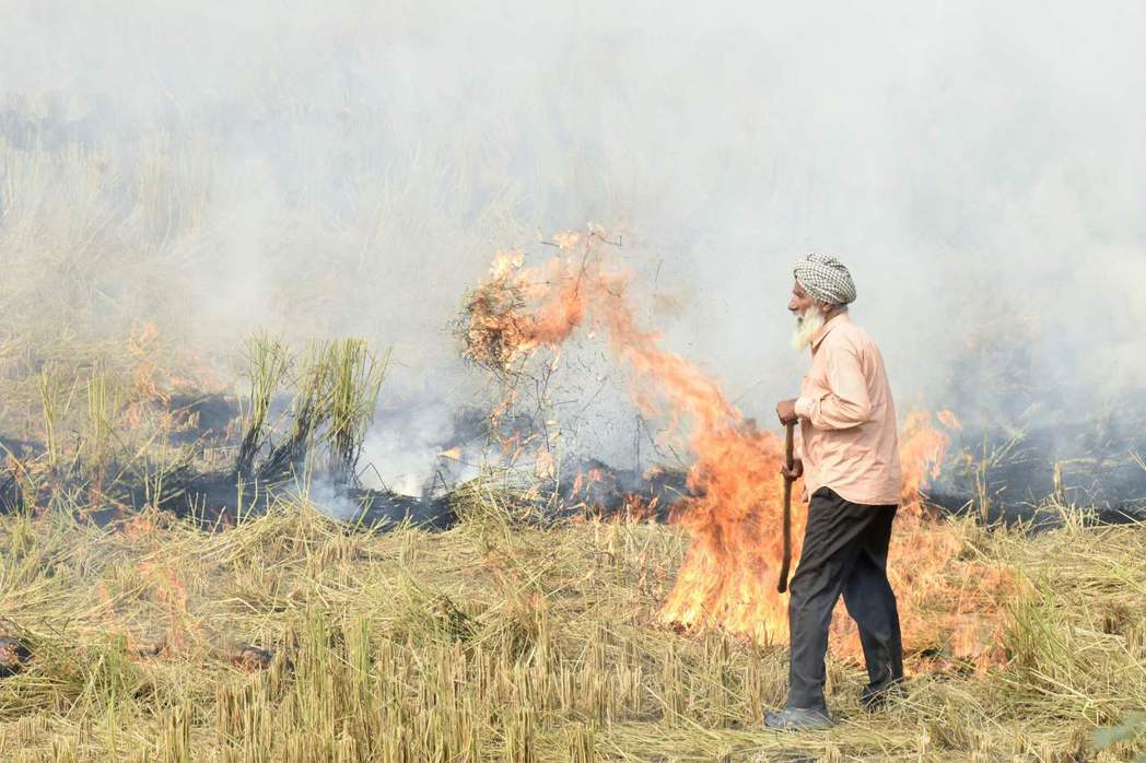 農民在收成後燃燒稻草，是造成毒霧瀰漫的原因之一。 （法新社）