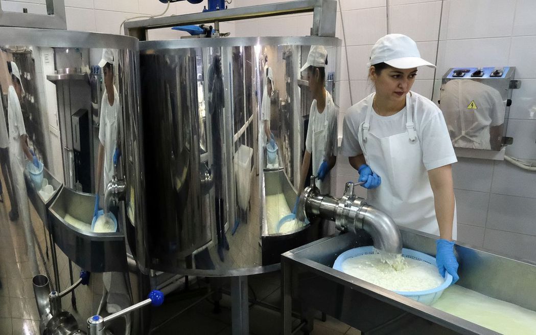 俄國實施乳酪補助政策，希望國內產品取代進口產品，以減少對外國依賴。今年政策有了成...