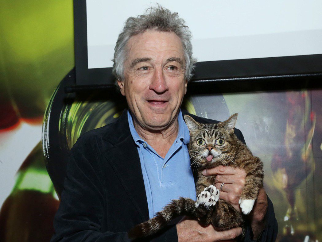 吐舌貓2013年和好萊塢巨星勞勃狄尼洛在紐約翠貝卡影展合影。 （法新社）