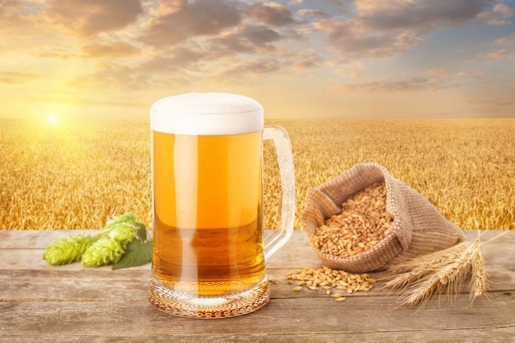 啤酒廠與當地麥田合作，讓每一口啤酒都喝得出當地味。 圖／pixaboy