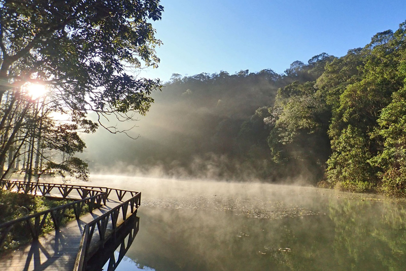 福山植物園水生植物池是精心創造出來的生態展示池。 圖／林試所提供