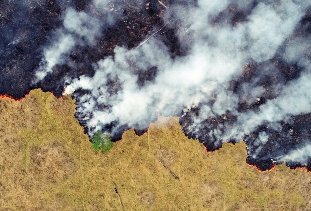 2019年，巴西亞馬遜雨林大火的消息，席捲了全球的新聞頭版。時序進入2020，到...
