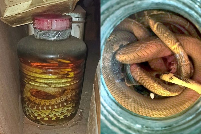 一名男網友在租屋處意外發現30年前的「蛇酒」。 圖片來源/FB社團「新竹大小事」