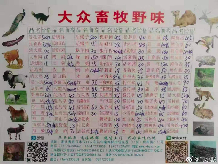武漢華南海鮮市場東區的「大眾畜牧野味」攤的野味價目表。 （新浪微博照片）