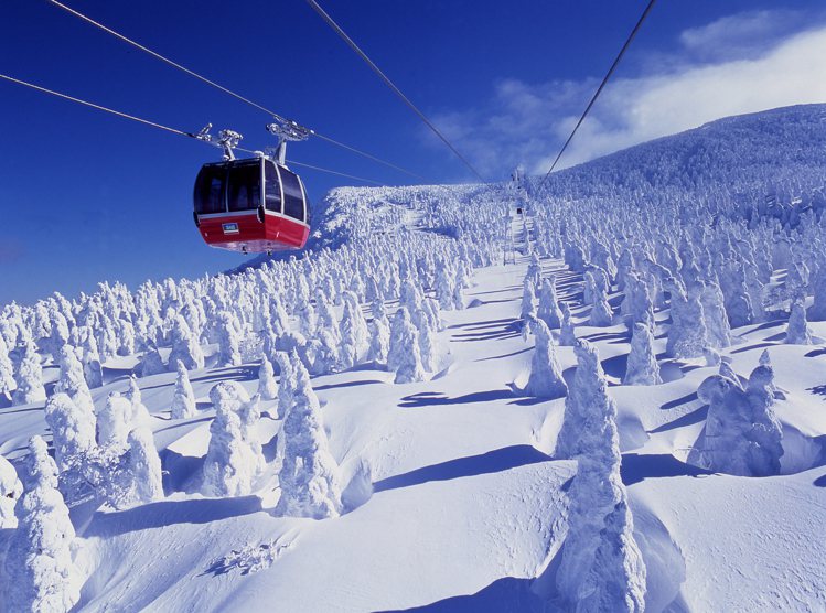 藏王樹冰，乃是結合風、雪與樹木的天然奇景。圖／JR東日本提供