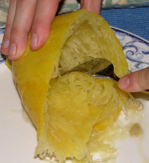 金絲瓜的果肉富含纖維，彷彿麵條一般。圖／維基百科