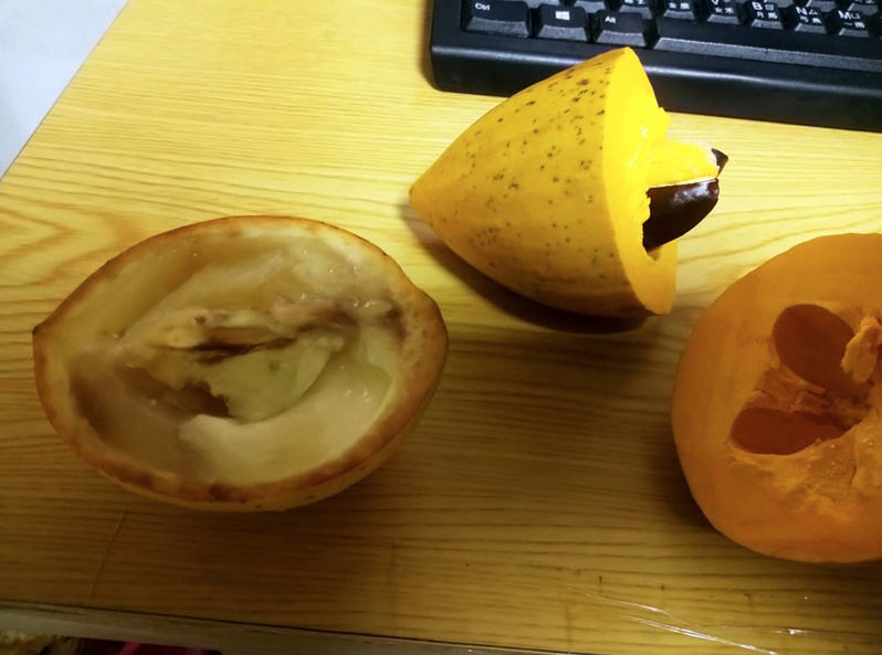 原Po在PTT上發文表示，自己買了兩種沒看過的水果，左邊為黃金果，右邊為仙桃。圖/PTT