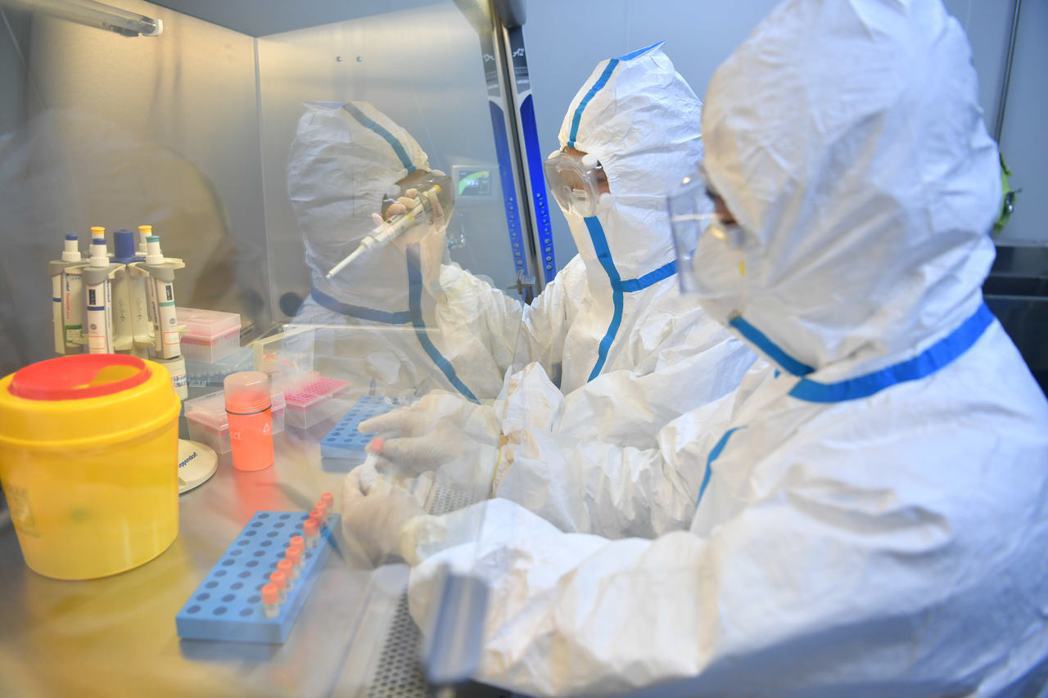 實驗室檢測人員身穿防護服在負壓實驗室進行新冠病毒核酸檢測。（中新社）